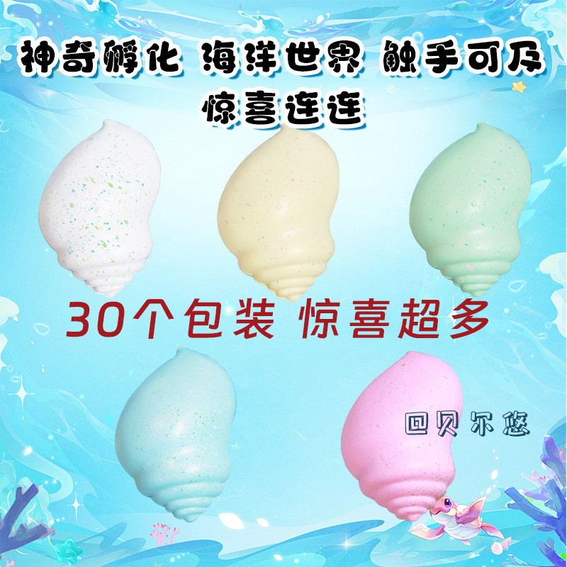 Marine simulation conch blind box swelling and soaking in water to grow larger toy children's model incubation educational toy wholesale in stock Specification drawing