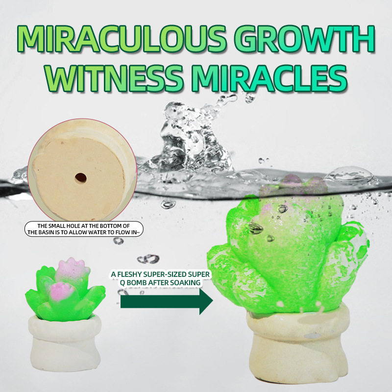 Cross-border mini miniature cute cactus simulation green plant succulent model children's playhouse blind bag decorative toy Specification drawing