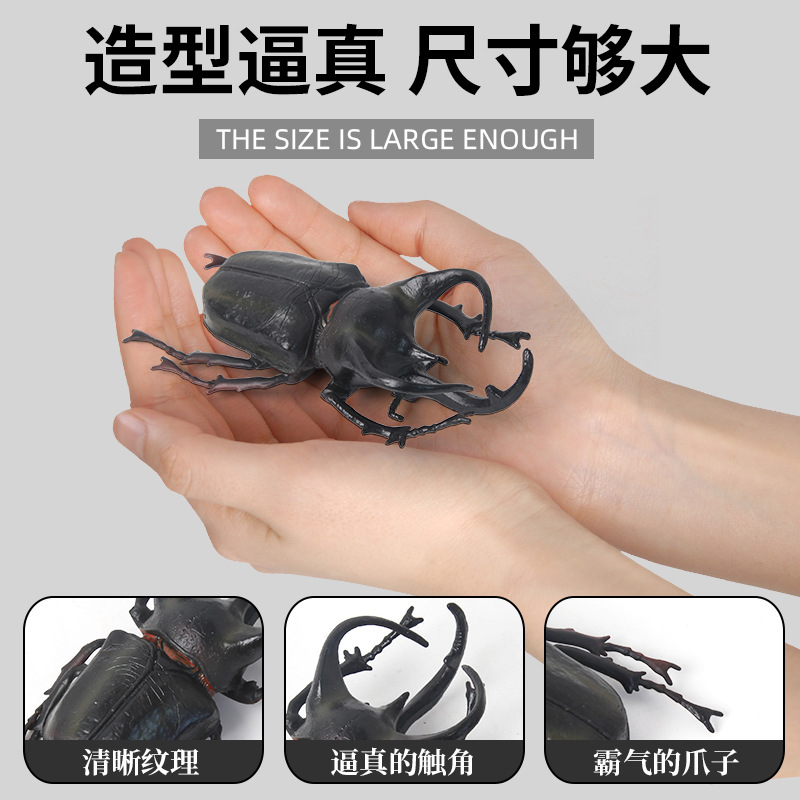 Children's simulation animal models, wild solid plastic spider, rhinoceros beetle, insect toys, realistic models details Picture