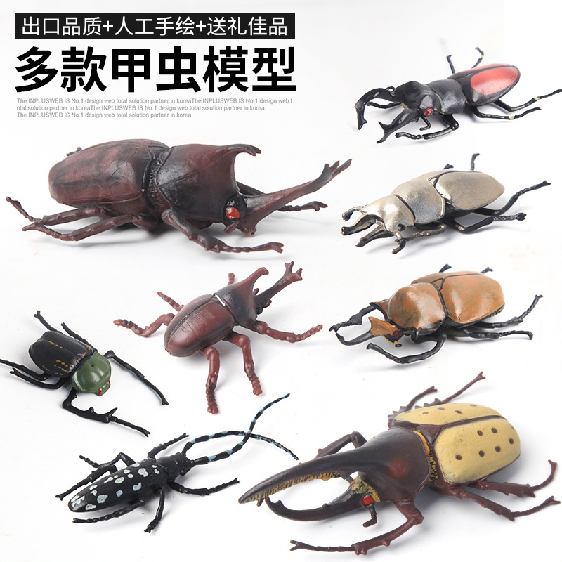 Children's simulation animal models, wild solid plastic spider, rhinoceros beetle, insect toys, realistic models Specification drawing