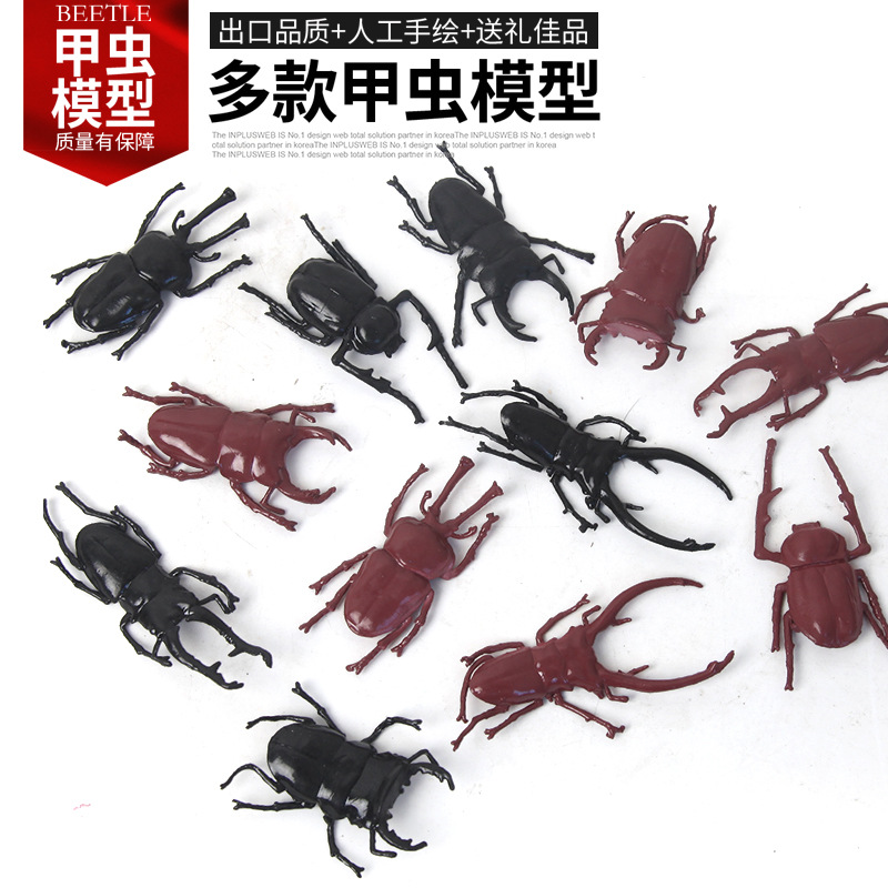 Creative floating water beetle TPR model children's novel and creative toy, April Fool's Day prank bug science popularization prop full figure