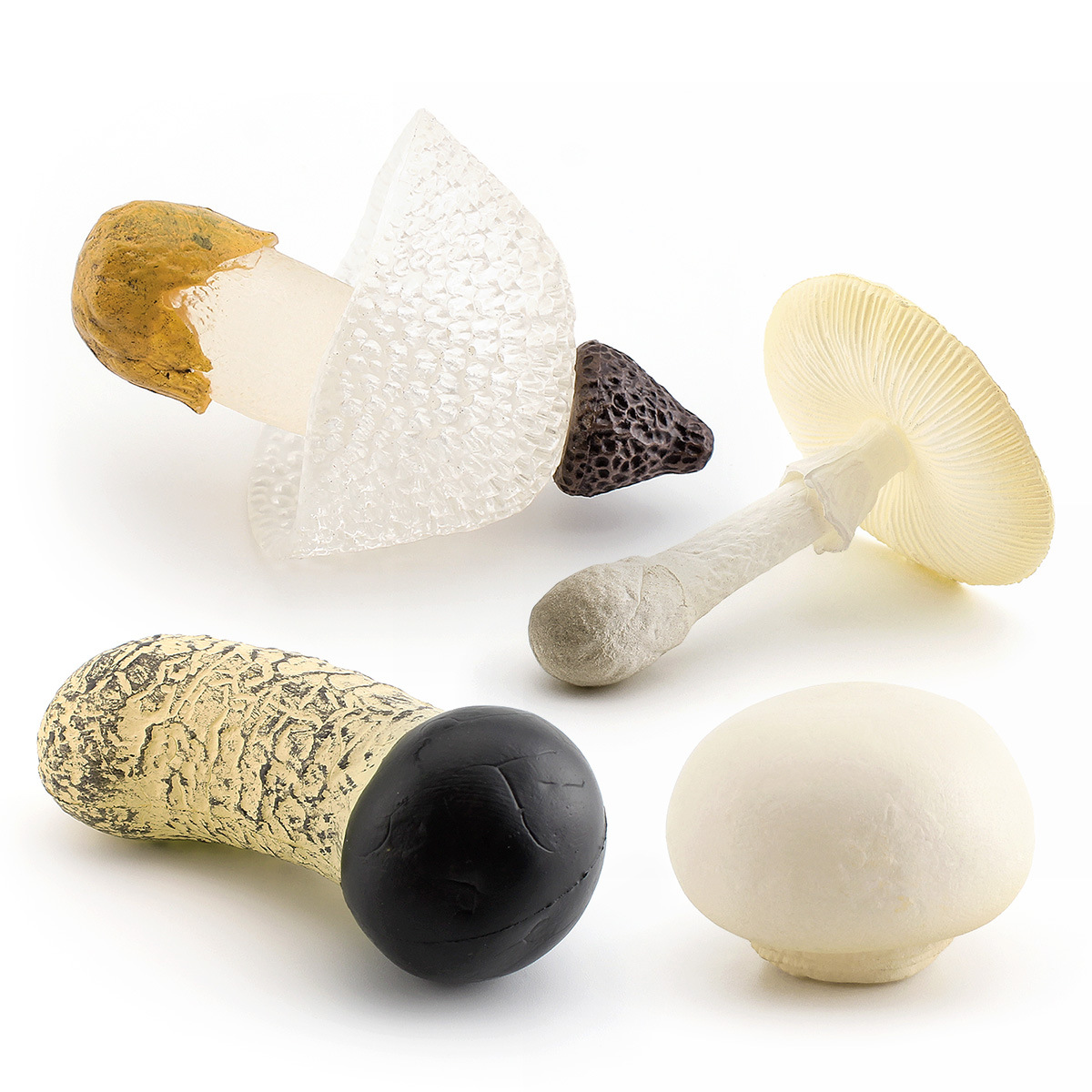 Cross-border simulation fungus mushroom model: Shiitake mushroom, white poison, Amanita, Pleurotus eryngii, Matsutake, double Abalone mushroom, poison rope umbrella ornament Specification drawing