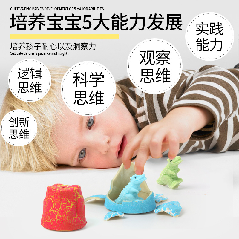 Wholesale of cross-border volcanic hatching dinosaur eggs soaked in water to expand children's and babies' educational diy blind box small toys details Picture