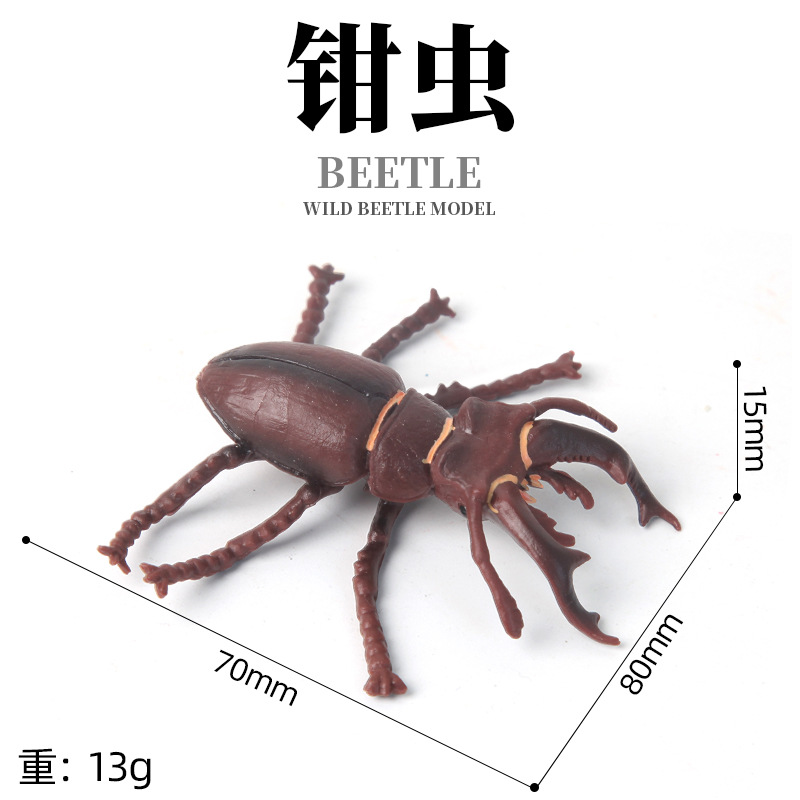 Children's simulation animal models, wild solid plastic spider, rhinoceros beetle, insect toys, realistic models Item Picture