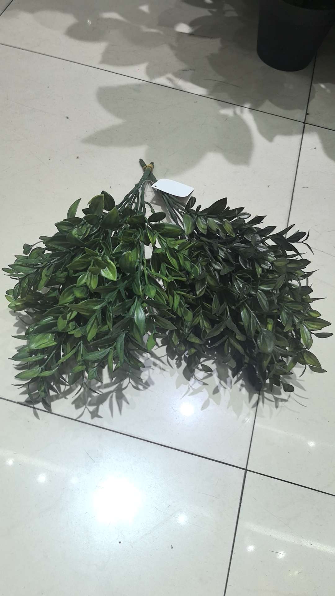 办公文化仿真园艺植物套装仿蘆葦剑兰蝴蝶兰丝状苔藓蕨类装饰品多肉绿植摆件蝴蝶兰仿真花