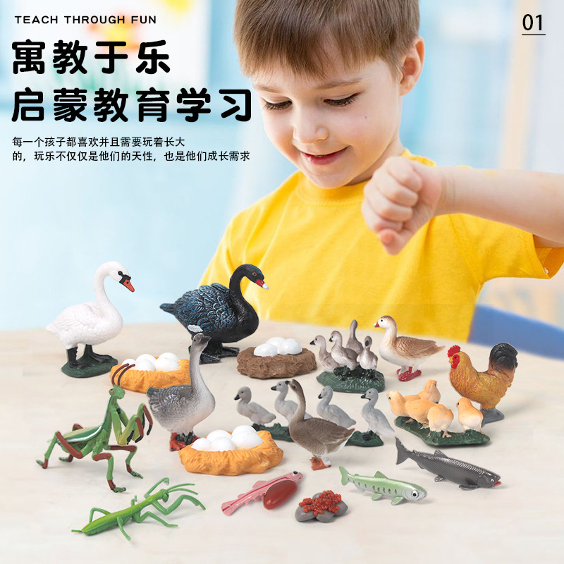 Children's simulation animal models, wild solid plastic rooster, turtle, swan, mantis, turtle toys, realistic models full figure