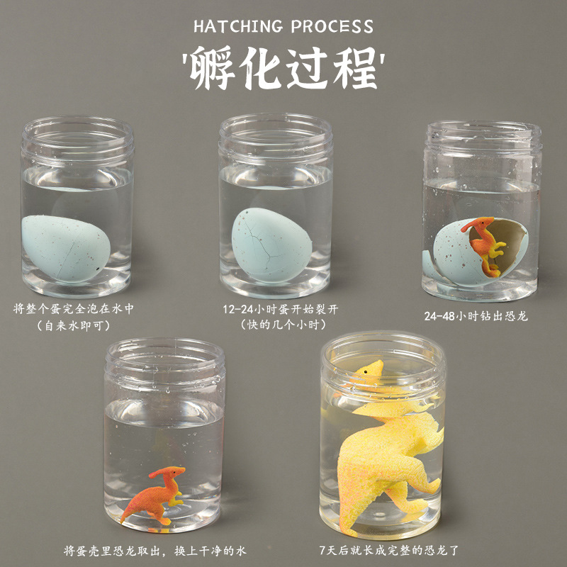 New and unique: Water-soaked dinosaur hatching eggs absorb water to grow larger; dinosaur eggs expand; toy suction cards hold dinosaur eggs with trembling sounds Specification drawing
