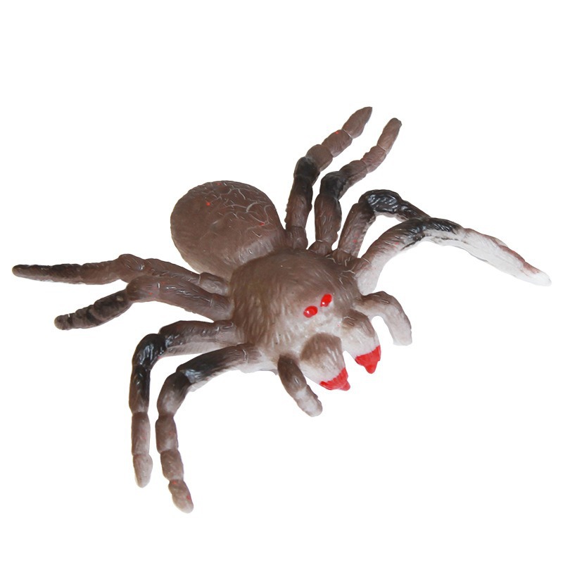 New cross-border water-absorbing card color-changing spider model, water-absorbing and swollen children's simulation toy in stock wholesale Item Picture