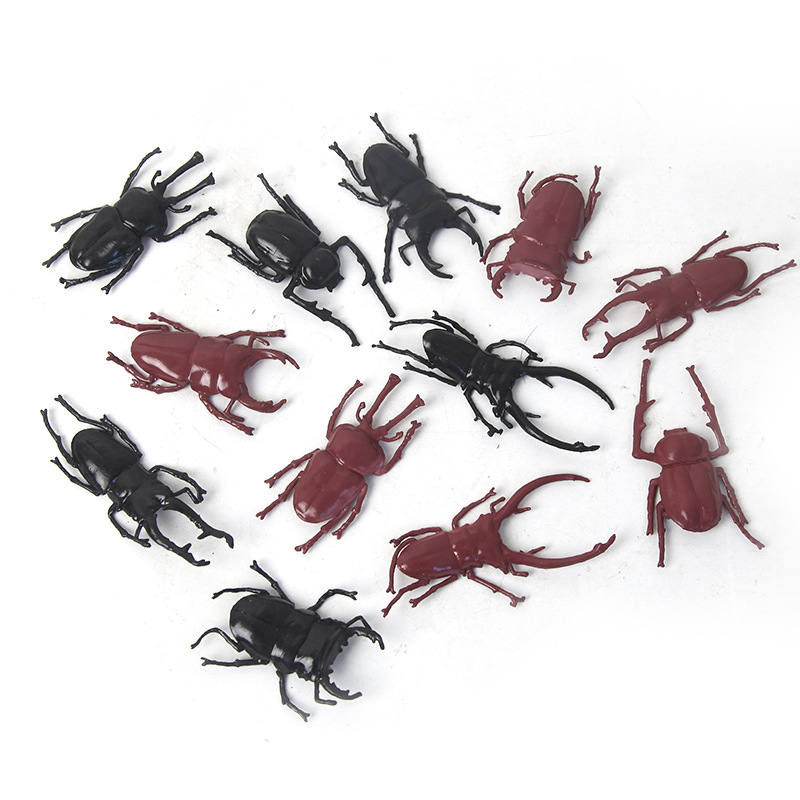 Creative floating water beetle TPR model children's novel and creative toy, April Fool's Day prank bug science popularization prop Item Picture