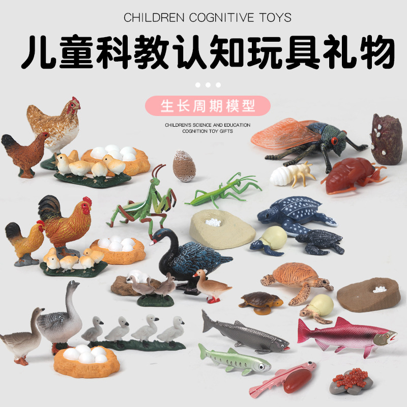 Children's simulation animal models, wild solid plastic rooster, turtle, swan, mantis, turtle toys, realistic models details Picture