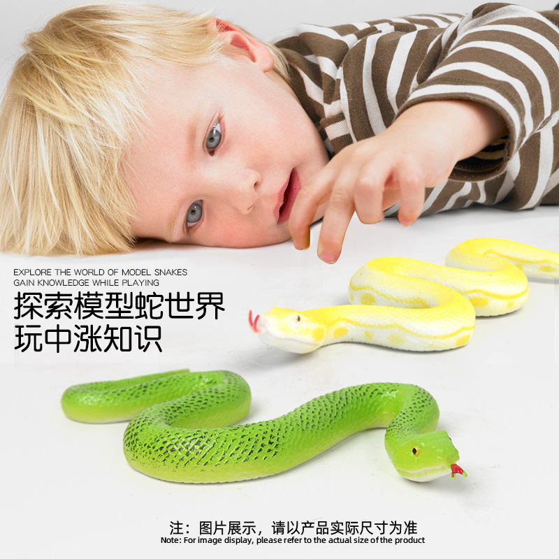 Cross-border new product simulation snake model toys, realistic models, children's early education and intelligence animal street stall small toys wholesale details Picture