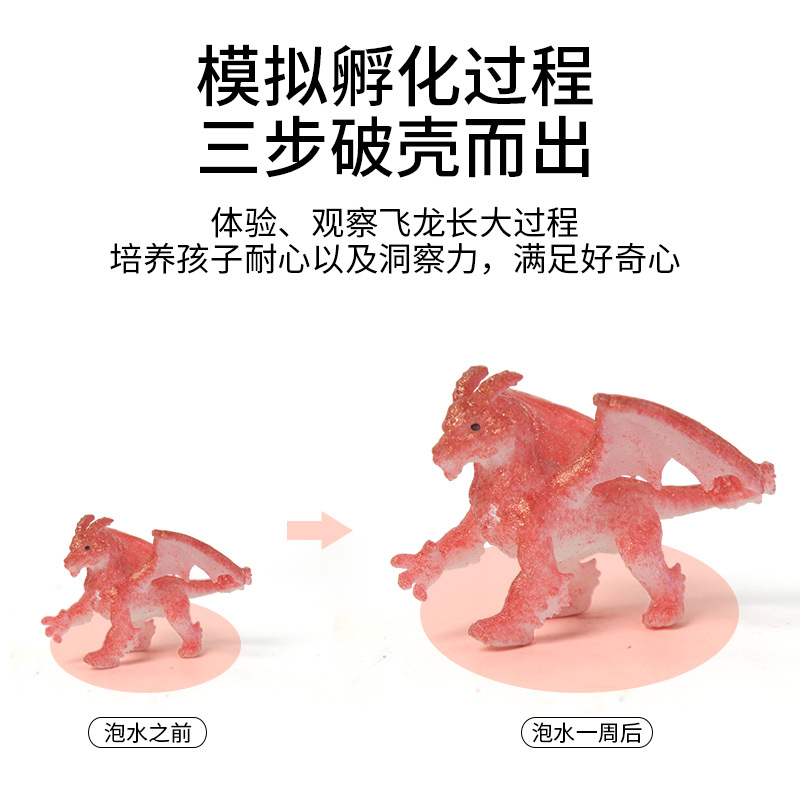 Soak in water, expand, hatch eggs, flying dragon eggs, children's and babies' educational toys, dinosaur models, creative toys wholesale Application Scenario