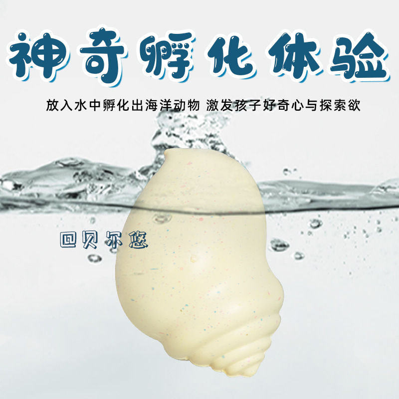 Marine simulation conch blind box swelling and soaking in water to grow larger toy children's model incubation educational toy wholesale in stock details Picture
