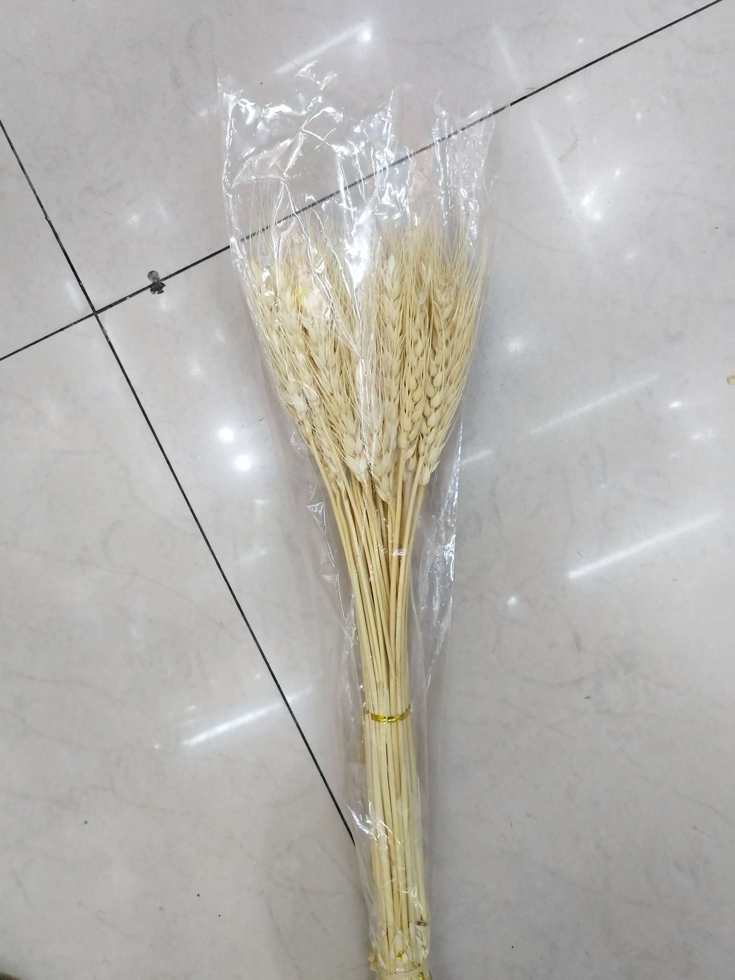 小芦苇芦苇毛婚庆芦苇干花