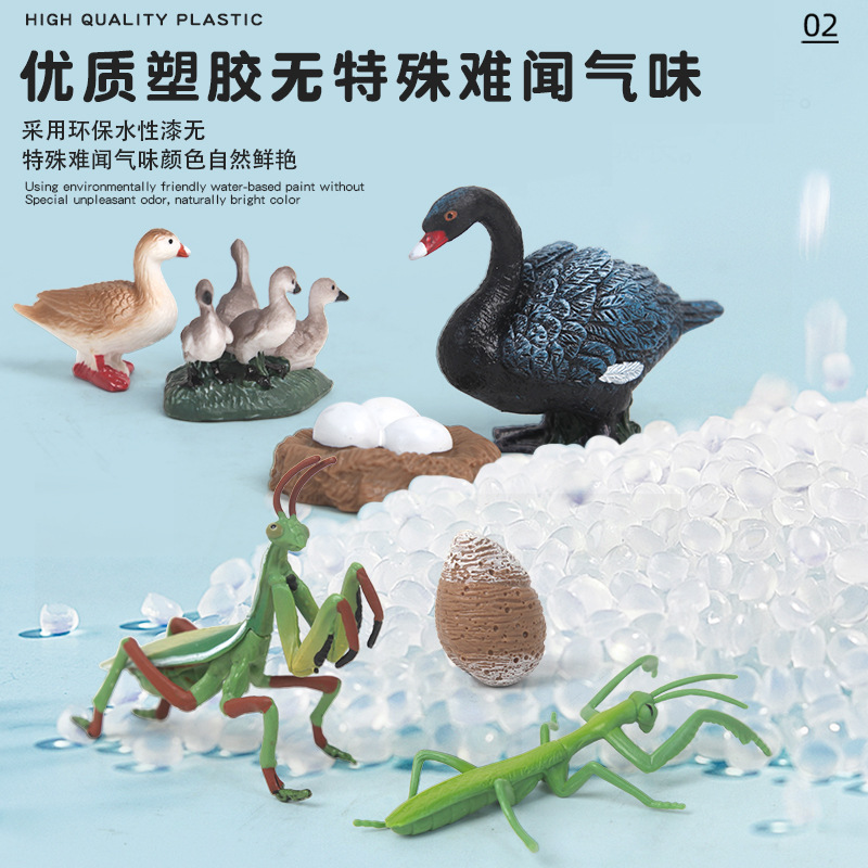 Children's simulation animal models, wild solid plastic rooster, turtle, swan, mantis, turtle toys, realistic models Application Scenario