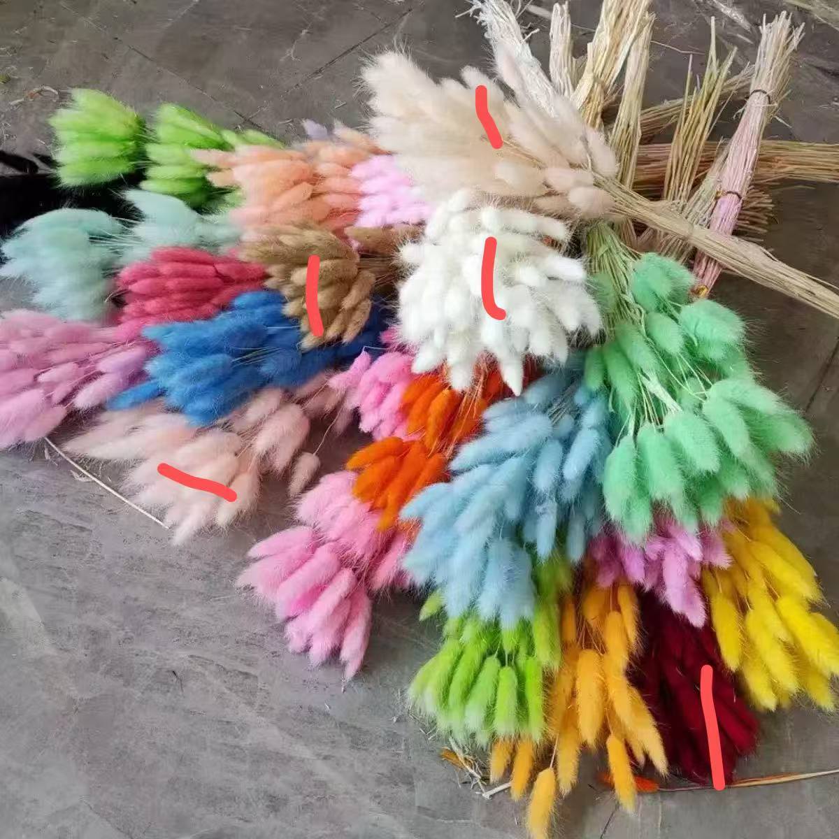 兔尾草/干花/永生花细节图