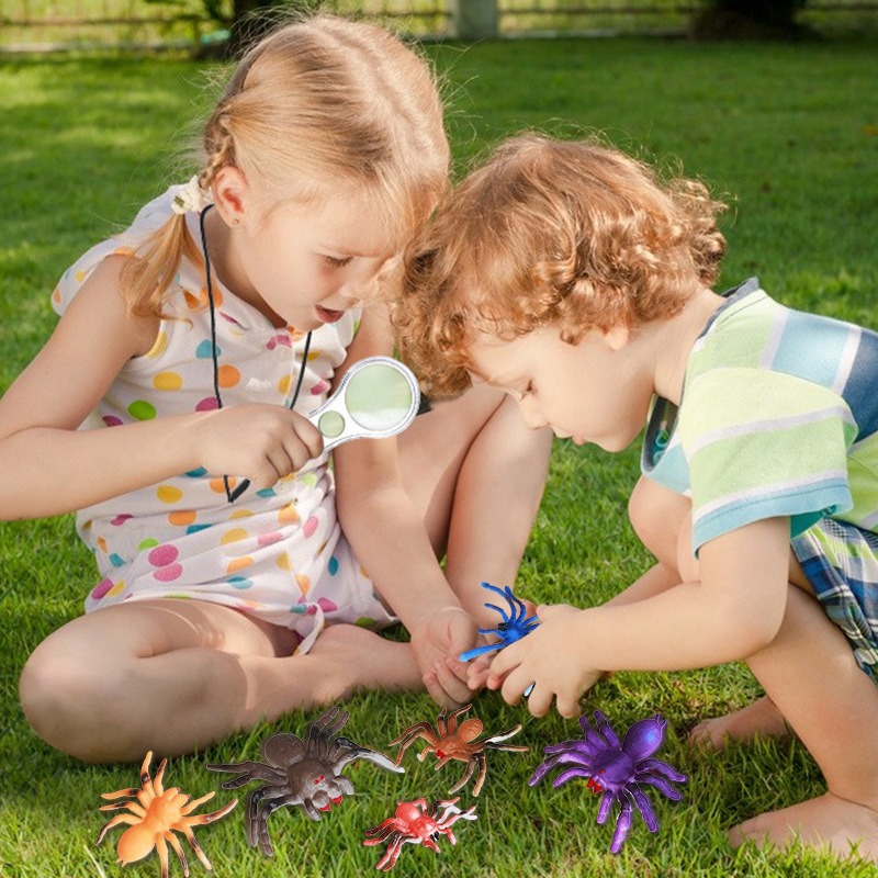 New cross-border water-absorbing card color-changing spider model, water-absorbing and swollen children's simulation toy in stock wholesale Application Scenario