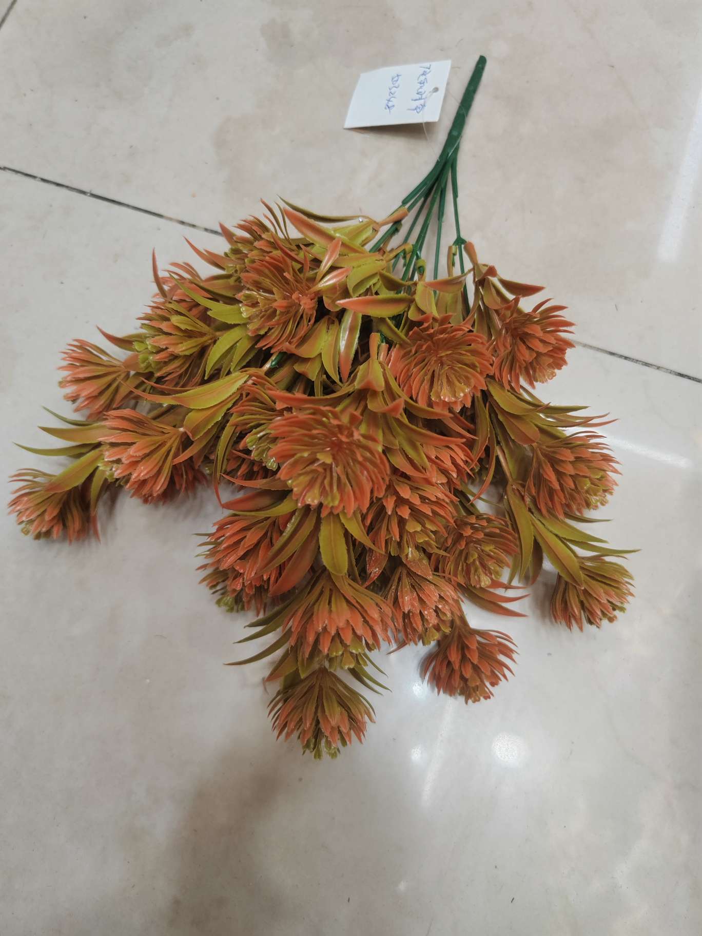 7头秋色水草球白底实物图