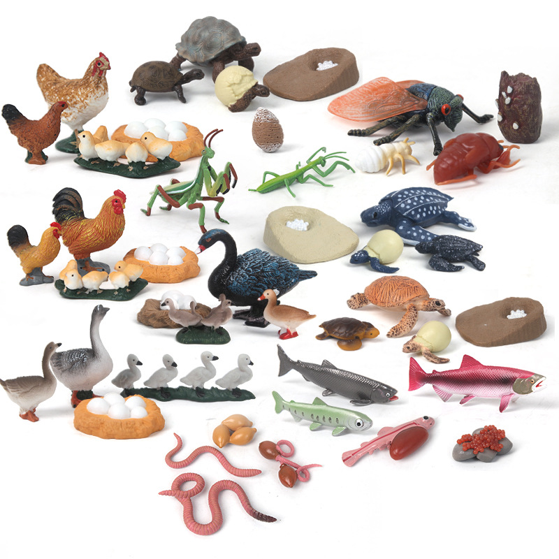Children's simulation animal models, wild solid plastic rooster, turtle, swan, mantis, turtle toys, realistic models Item Picture