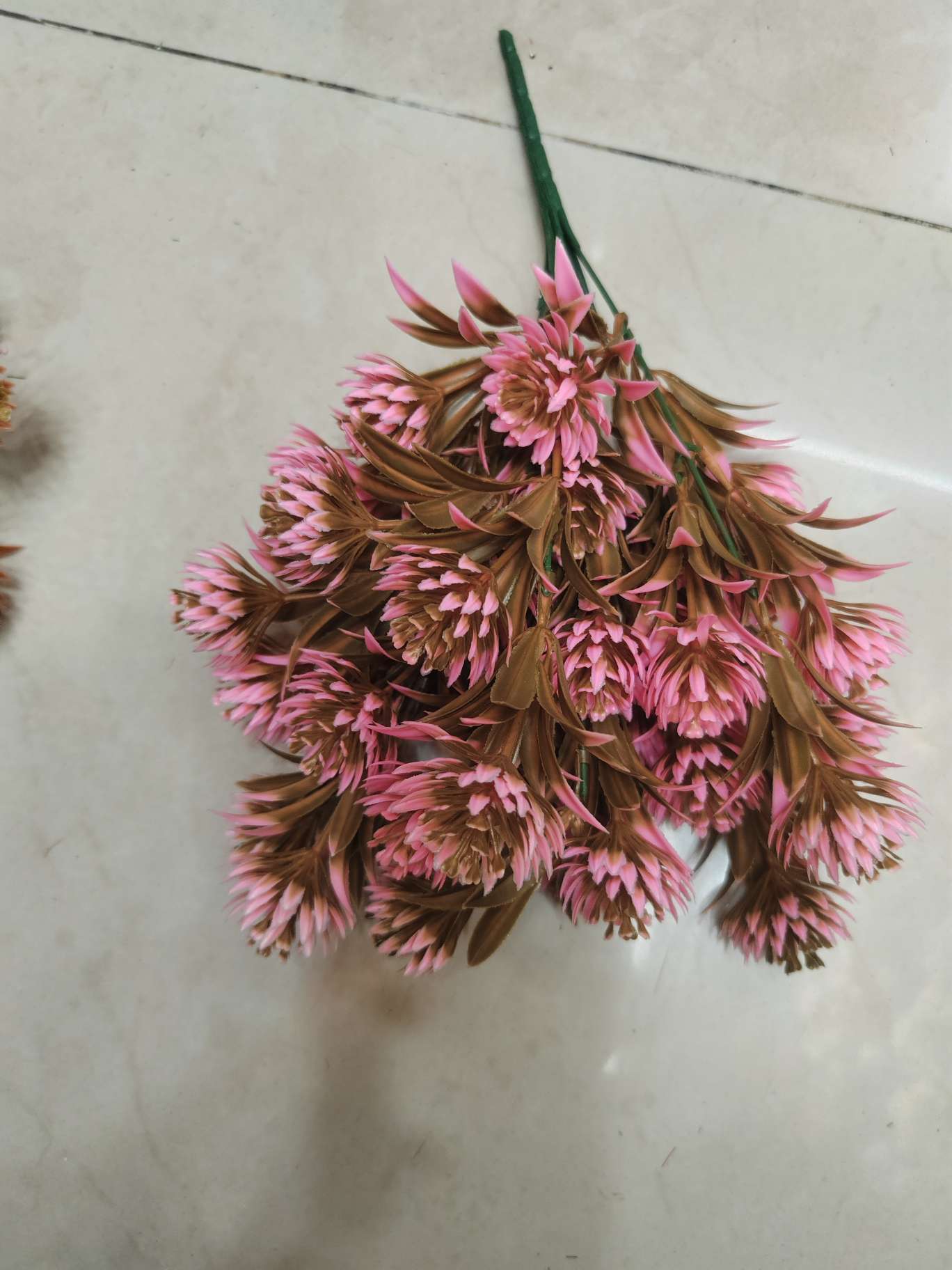 7头秋色水草球细节图