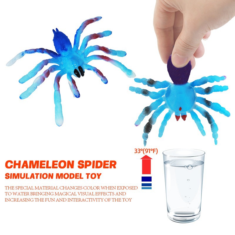 New cross-border water-absorbing card color-changing spider model, water-absorbing and swollen children's simulation toy in stock wholesale details Picture