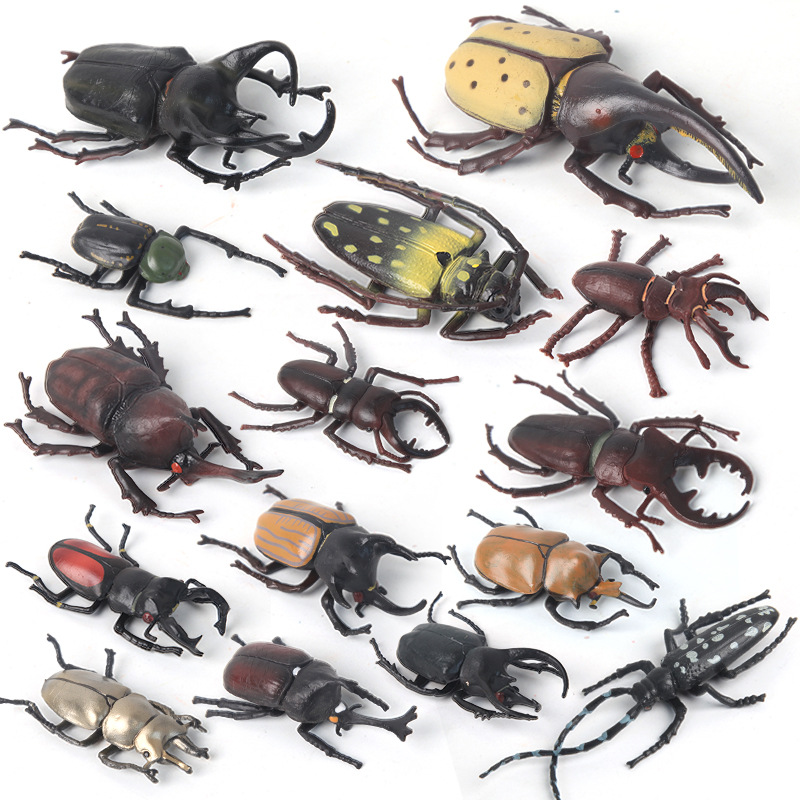 Children's simulation animal models, wild solid plastic spider, rhinoceros beetle, insect toys, realistic models full figure