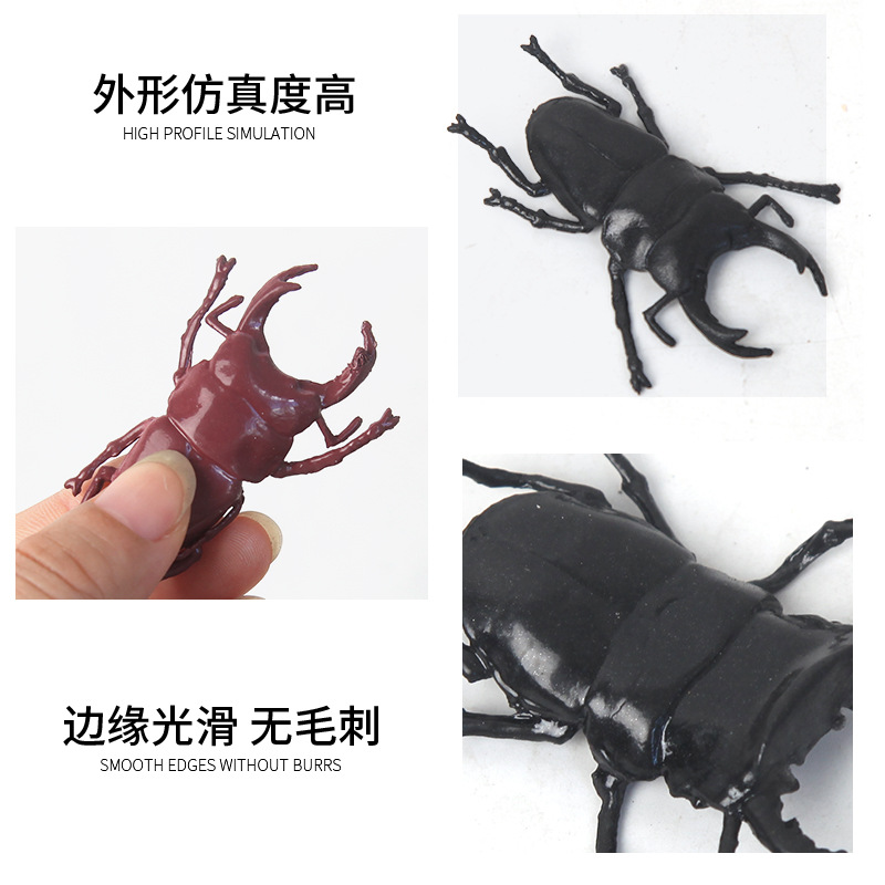 Creative floating water beetle TPR model children's novel and creative toy, April Fool's Day prank bug science popularization prop details Picture