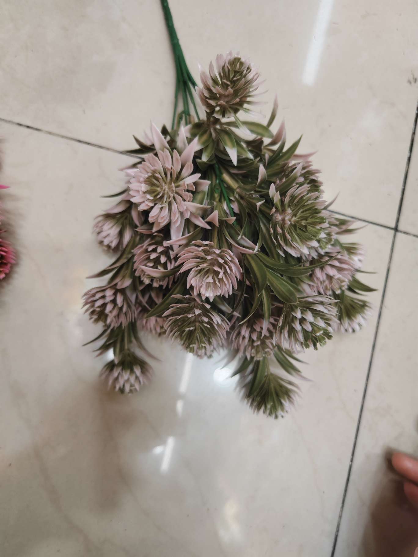 植物工艺品实物图