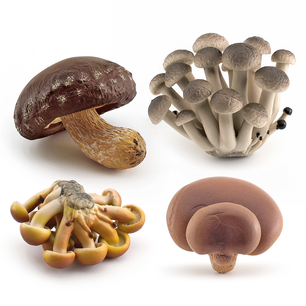 Cross-border simulation fungus mushroom model: Shiitake mushroom, white poison, Amanita, Pleurotus eryngii, Matsutake, double Abalone mushroom, poison rope umbrella ornament Application Scenario