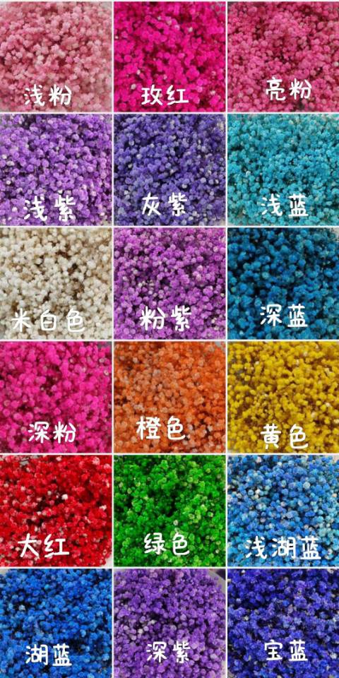 家饰仿真花饰永生花满天星干花圣诞干花装饰品摆件