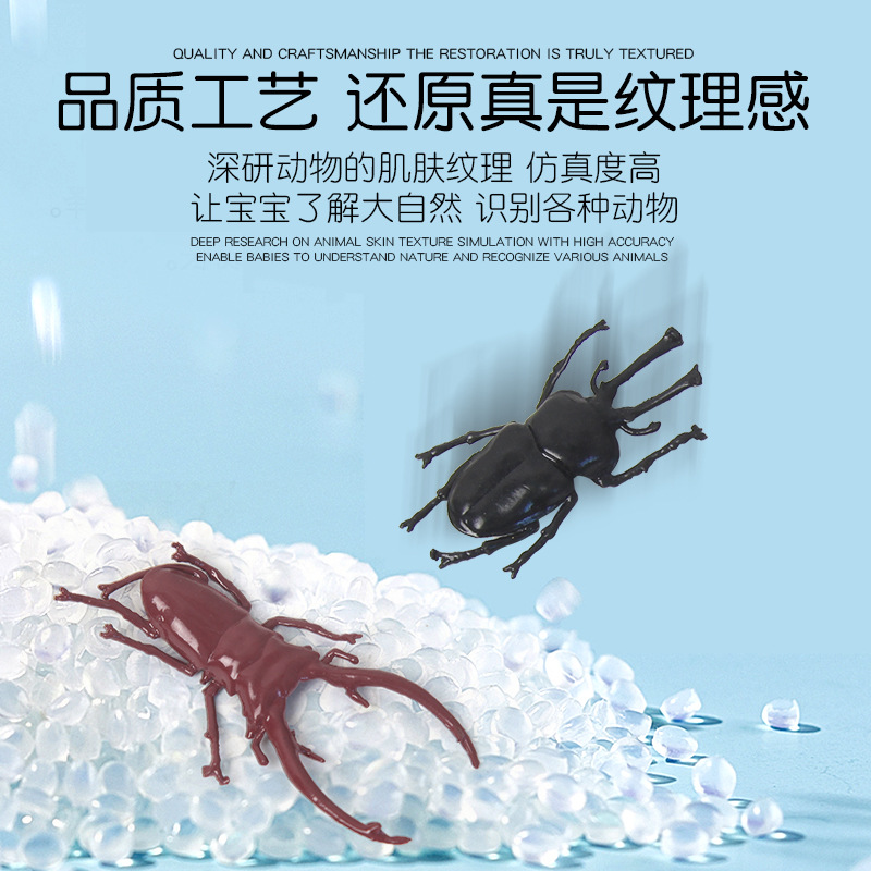 Creative floating water beetle TPR model children's novel and creative toy, April Fool's Day prank bug science popularization prop Specification drawing