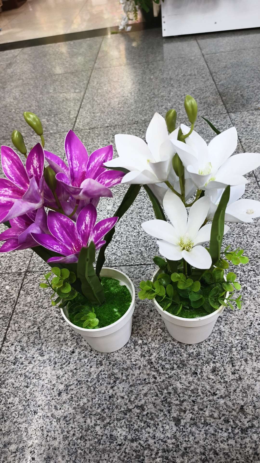 仿真工艺品礼品蝴蝶兰花瓣干花摆设仿真花剑兰地瓜叶装饰品产品图