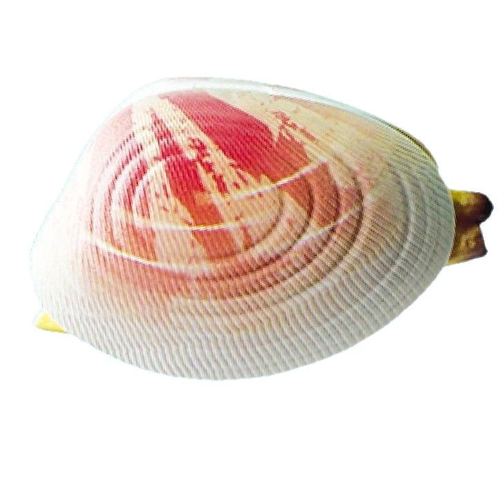 Simulated clam water gun, prank toy, water spray gun, children's flower age water suction and water spraying gun, summer outdoor water play toy Item Picture