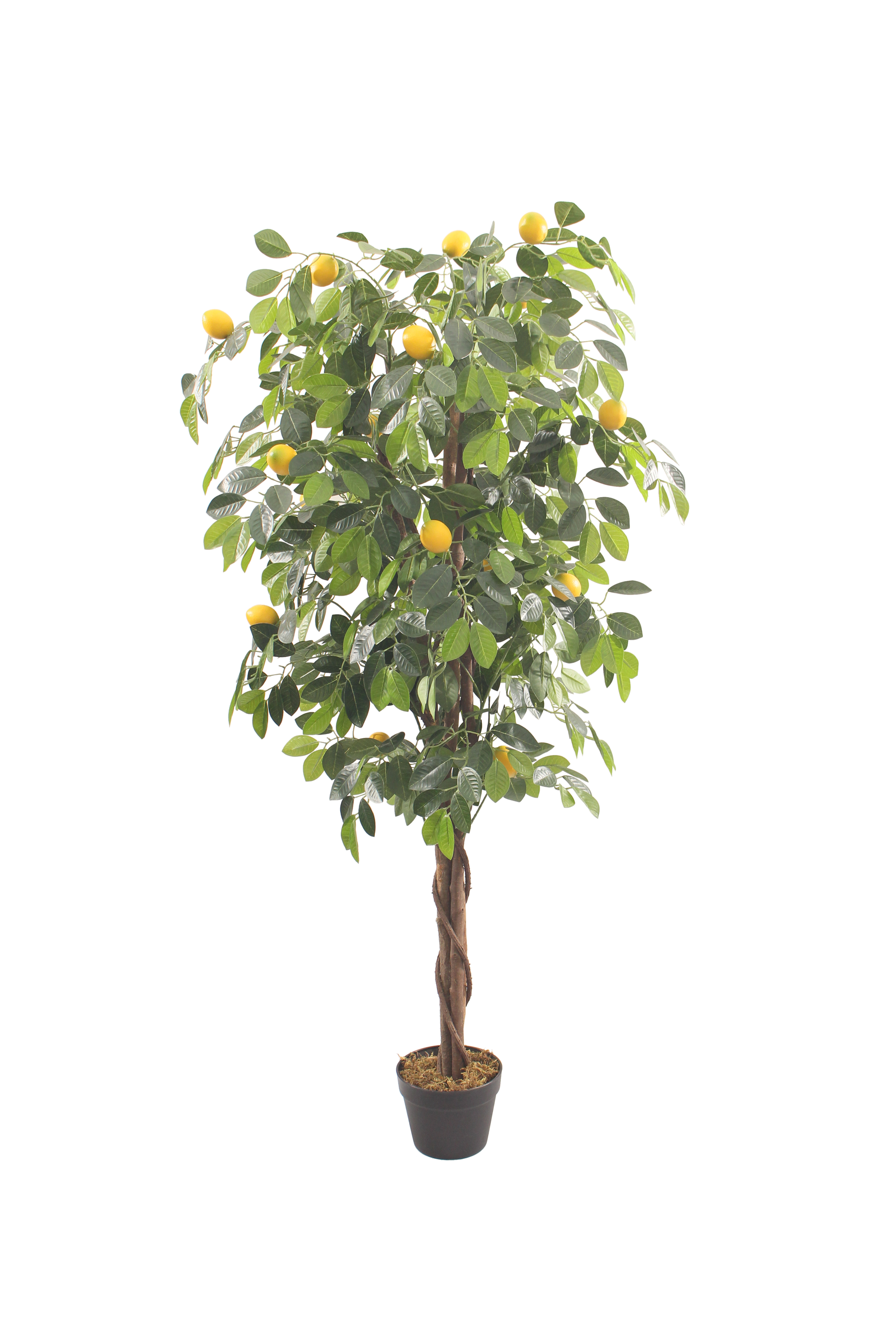 柠檬仿真植物树人造盆景装饰北欧风格凤凰蕨厂家直销