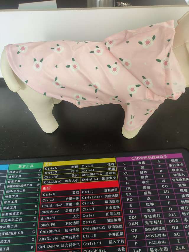 宠物帽子实物图