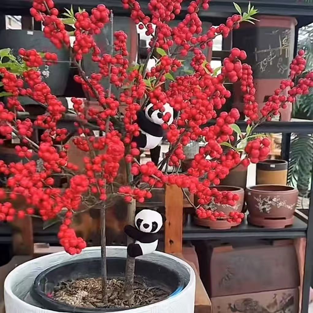 迷你熊猫夹子毛绒玩具小玩偶公仔盆栽卧室桌面小挂件可爱创意礼物拍一发三