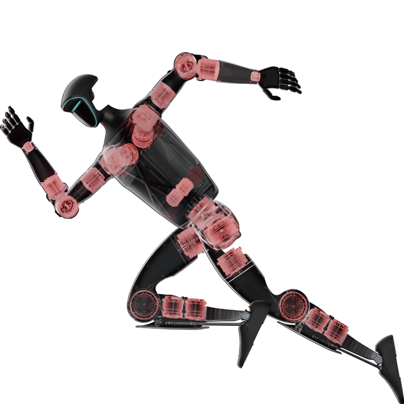 其他分类实物图