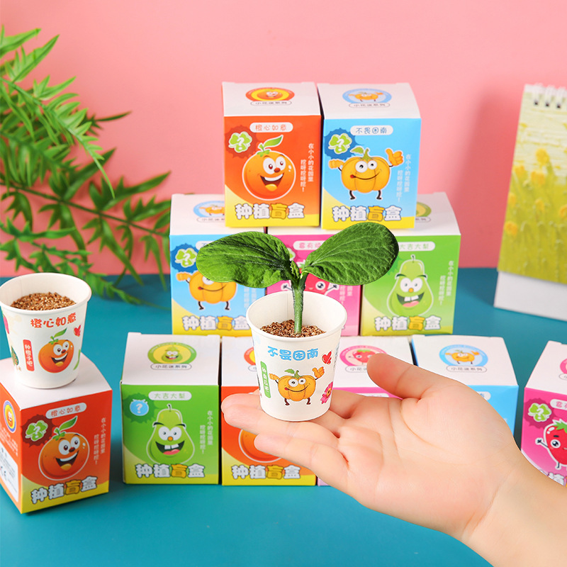 Creative and inspiring children's planting blind box kindergarten gifts, observation fruits, flowers and plants desktop gifts full figure