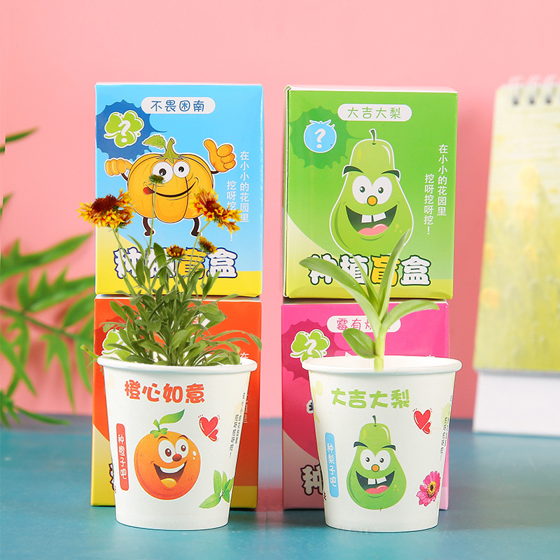 Creative and inspiring children's planting blind box kindergarten gifts, observation fruits, flowers and plants desktop gifts Specification drawing