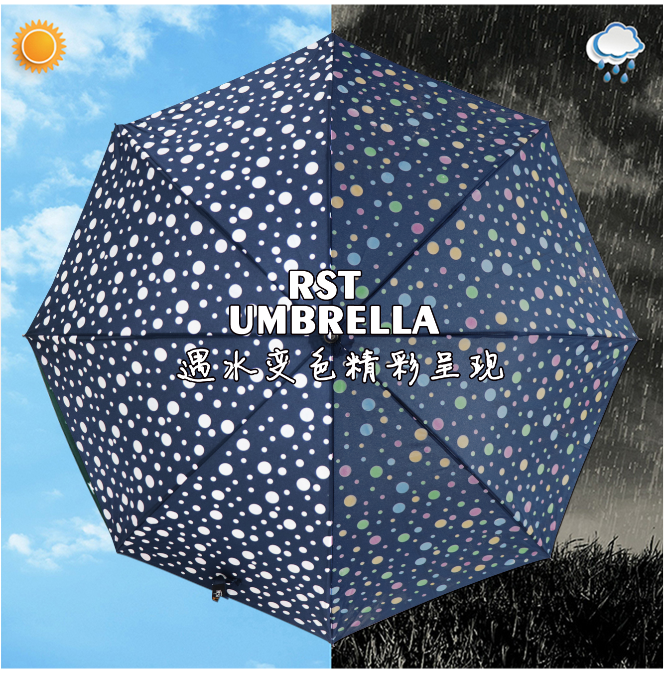 星宝伞遇水变色魔术伞长伞波点一键开伞现货批发详情2