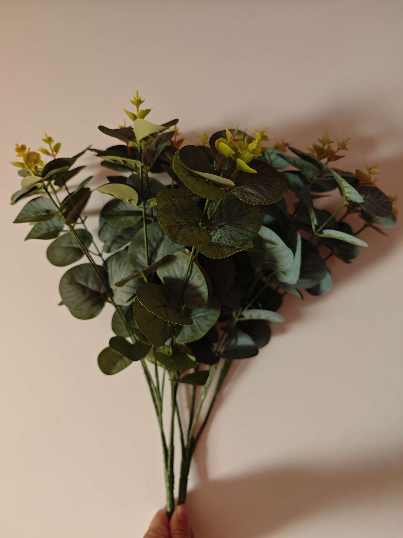 仿真植物金钱叶，墙体装饰，家里摆设，洒店装饰，壁挂饰品