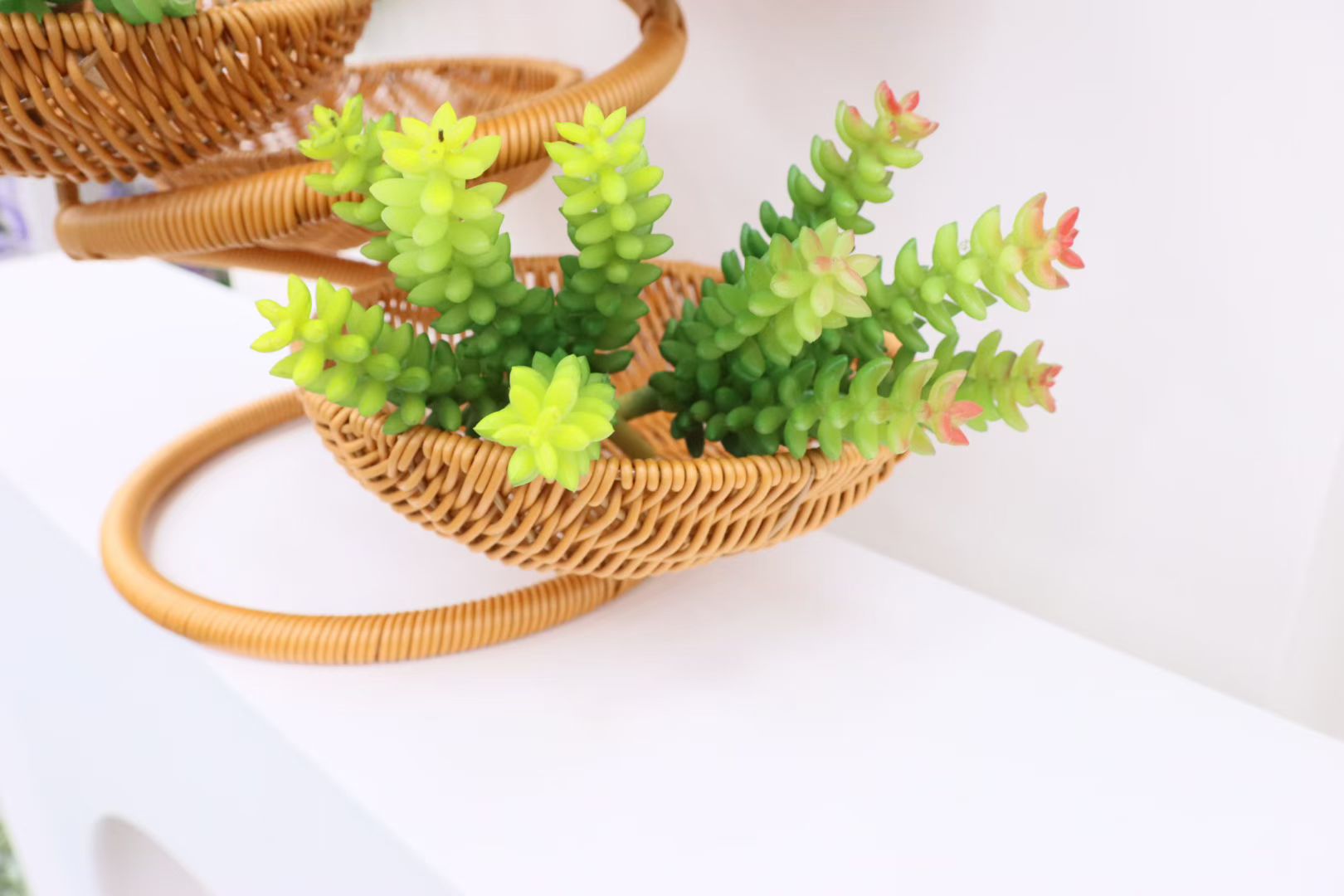 仿真多肉仿真多肉盆景客厅多肉摆件仿真花剑兰