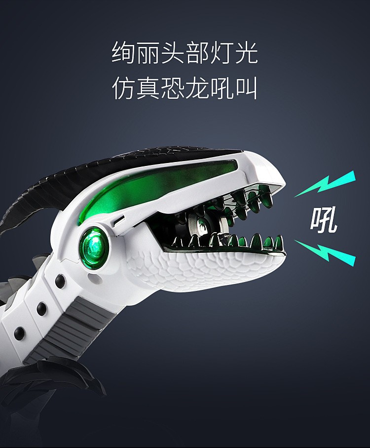 A best-selling large-sized spray dinosaur electric walking Tyrannosaurus rex mechanical dinosaur boy children's toy Application Scenario