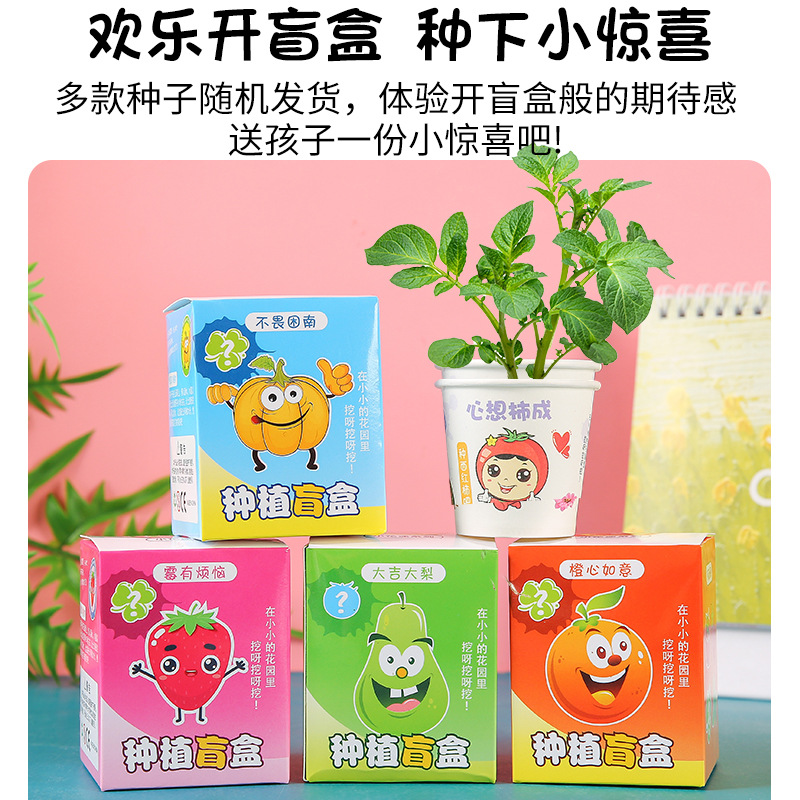 Creative and inspiring children's planting blind box kindergarten gifts, observation fruits, flowers and plants desktop gifts details Picture