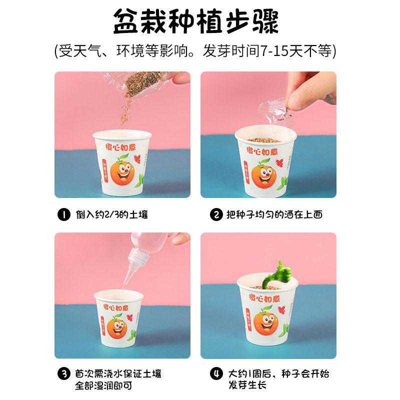 Creative and inspiring children's planting blind box kindergarten gifts, observation fruits, flowers and plants desktop gifts Application Scenario