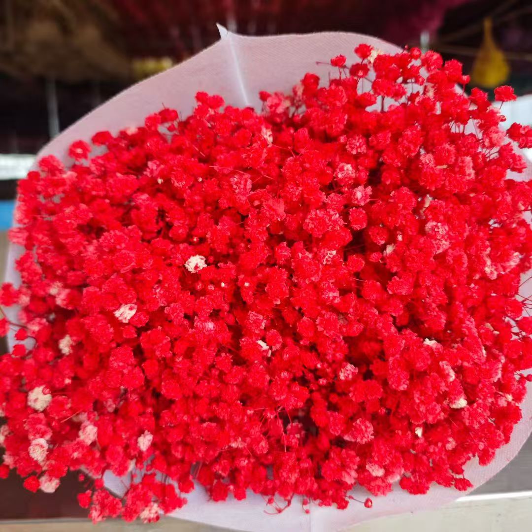 120-gram dried garden flowers, asters, dried fruit decorations, dried pinecones, dried fruit ornaments, multi-purpose decorative items detail image 7