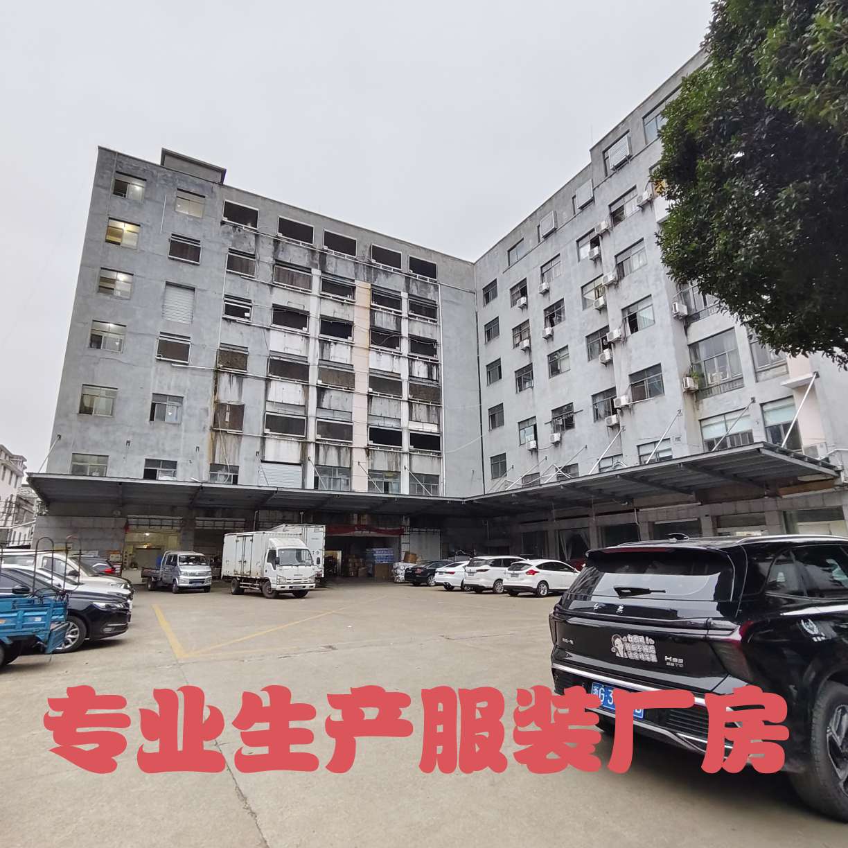 跨境电商亚马逊热卖欧美女装 万圣节图案印花背心短裤套装(不含配饰) 详情图10