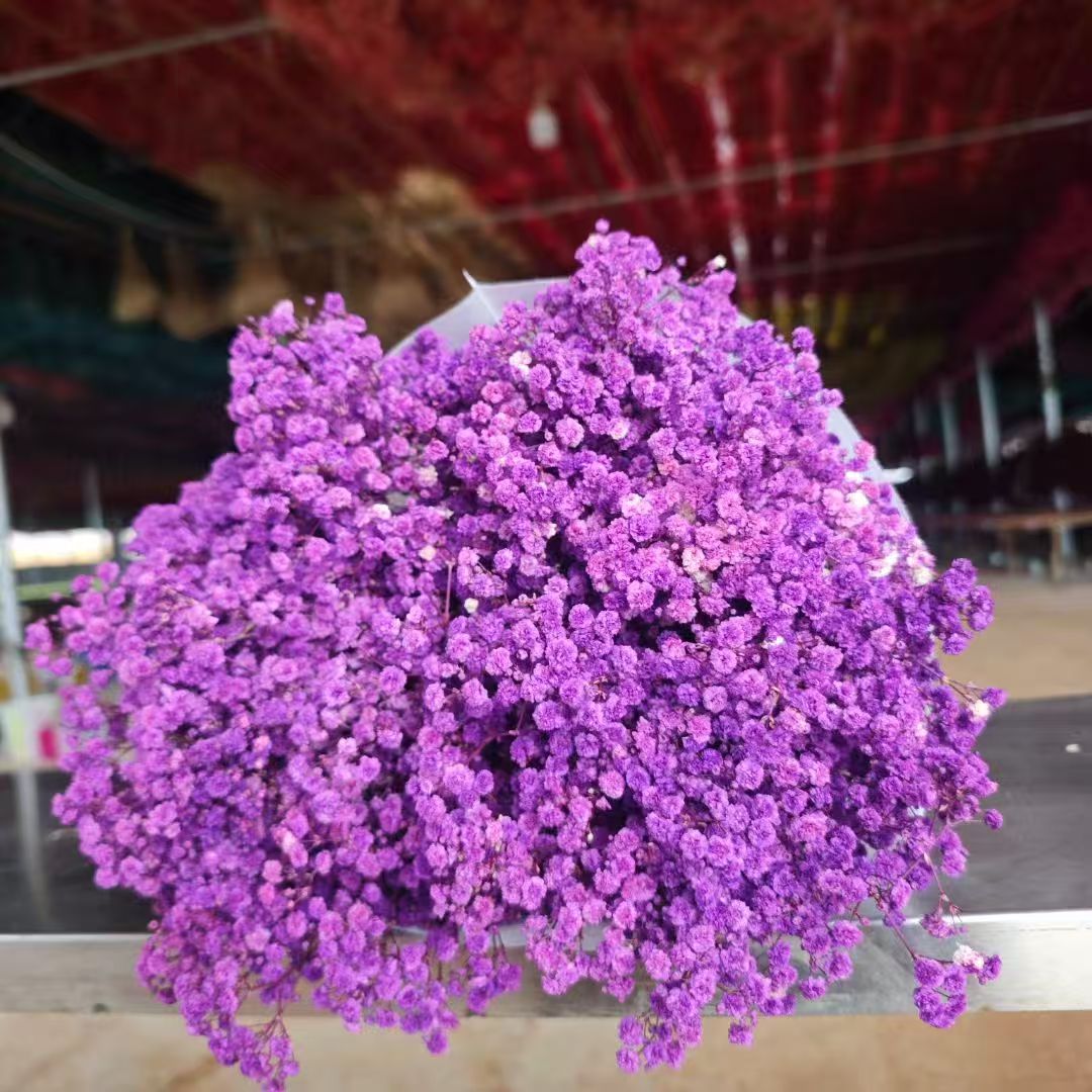 120-gram dried garden flowers, asters, dried fruit decorations, dried pinecones, dried fruit ornaments, multi-purpose decorative items detail image 4