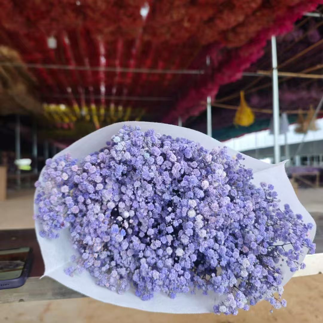 120-gram dried garden flowers, asters, dried fruit decorations, dried pinecones, dried fruit ornaments, multi-purpose decorative items detail image 5