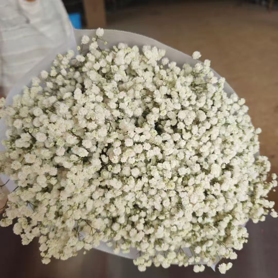120-gram dried garden flowers, asters, dried fruit decorations, dried pinecones, dried fruit ornaments, multi-purpose decorative items details Picture